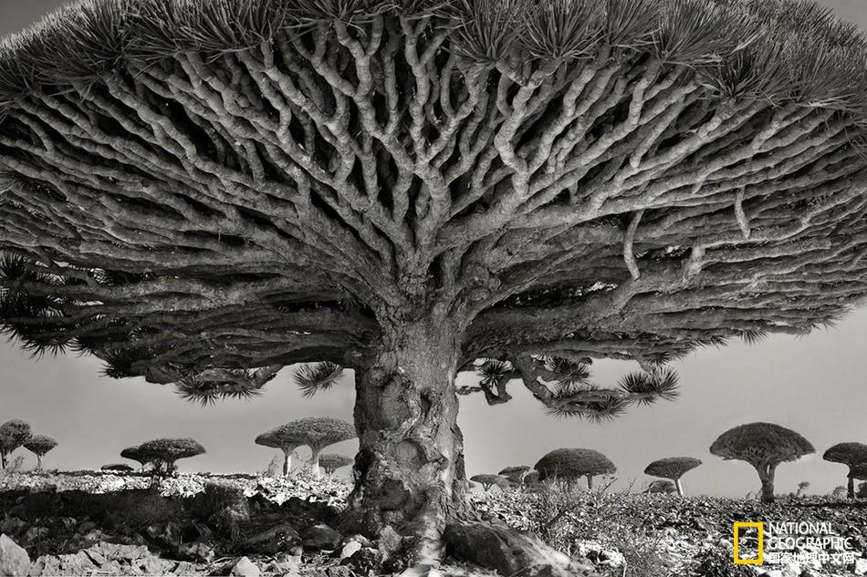 >百姓快3電腦最新版